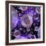 Multiverse, Artwork-Detlev Van Ravenswaay-Framed Photographic Print