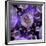 Multiverse, Artwork-Detlev Van Ravenswaay-Framed Photographic Print