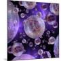 Multiverse, Artwork-Detlev Van Ravenswaay-Mounted Photographic Print