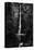 Multnomah Falls 1 mono-John Gusky-Stretched Canvas