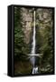 Multnomah Falls 1-John Gusky-Framed Stretched Canvas