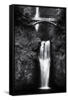 Multnomah Falls 2 Mono-John Gusky-Framed Stretched Canvas