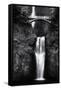 Multnomah Falls 2 Mono-John Gusky-Framed Stretched Canvas