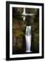 Multnomah Falls 2-John Gusky-Framed Photographic Print