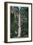 Multnomah Falls and Benson Foot Bridge - Columbia River, OR-Lantern Press-Framed Art Print