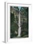 Multnomah Falls and Benson Foot Bridge - Columbia River, OR-Lantern Press-Framed Art Print