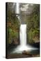 Multnomah Falls and Creek, Multnomah Falls Sp, Columbia Gorge, Oregon-Michel Hersen-Stretched Canvas