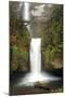 Multnomah Falls and Creek, Multnomah Falls Sp, Columbia Gorge, Oregon-Michel Hersen-Mounted Photographic Print