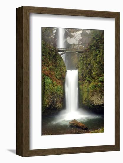 Multnomah Falls and Creek, Multnomah Falls Sp, Columbia Gorge, Oregon-Michel Hersen-Framed Photographic Print