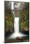 Multnomah Falls and Creek, Multnomah Falls Sp, Columbia Gorge, Oregon-Michel Hersen-Mounted Photographic Print