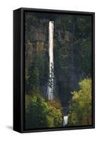 Multnomah Falls Autumn-Ike Leahy-Framed Stretched Canvas