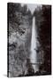 Multnomah Falls, Circa 1890-I.G. Davidson-Stretched Canvas