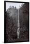 Multnomah Falls, Circa 1890-I.G. Davidson-Framed Giclee Print