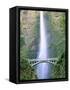 Multnomah Falls, Colombia River Gorge, Oregon, USA-Walter Bibikow-Framed Stretched Canvas