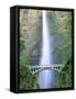 Multnomah Falls, Colombia River Gorge, Oregon, USA-Walter Bibikow-Framed Stretched Canvas