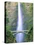 Multnomah Falls, Colombia River Gorge, Oregon, USA-Walter Bibikow-Stretched Canvas