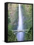Multnomah Falls, Colombia River Gorge, Oregon, USA-Walter Bibikow-Framed Stretched Canvas