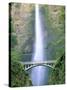 Multnomah Falls, Colombia River Gorge, Oregon, USA-Walter Bibikow-Stretched Canvas