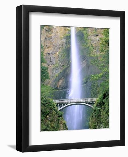 Multnomah Falls, Colombia River Gorge, Oregon, USA-Walter Bibikow-Framed Premium Photographic Print