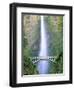 Multnomah Falls, Colombia River Gorge, Oregon, USA-Walter Bibikow-Framed Premium Photographic Print