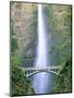 Multnomah Falls, Colombia River Gorge, Oregon, USA-Walter Bibikow-Mounted Premium Photographic Print