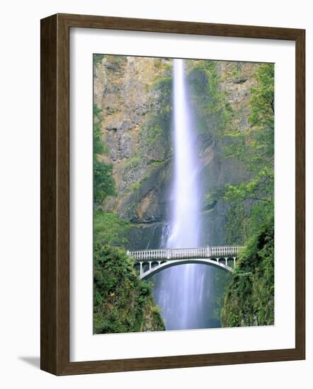 Multnomah Falls, Colombia River Gorge, Oregon, USA-Walter Bibikow-Framed Photographic Print