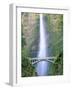 Multnomah Falls, Colombia River Gorge, Oregon, USA-Walter Bibikow-Framed Photographic Print