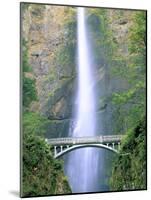 Multnomah Falls, Colombia River Gorge, Oregon, USA-Walter Bibikow-Mounted Photographic Print