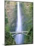 Multnomah Falls, Colombia River Gorge, Oregon, USA-Walter Bibikow-Mounted Photographic Print