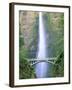 Multnomah Falls, Colombia River Gorge, Oregon, USA-Walter Bibikow-Framed Photographic Print