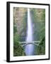 Multnomah Falls, Colombia River Gorge, Oregon, USA-Walter Bibikow-Framed Photographic Print