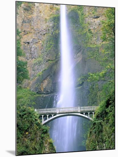 Multnomah Falls, Colombia River Gorge, Oregon, USA-Walter Bibikow-Mounted Photographic Print