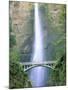 Multnomah Falls, Colombia River Gorge, Oregon, USA-Walter Bibikow-Mounted Photographic Print