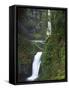 Multnomah Falls, Columbia Gorge National Scenic Area, Oregon, USA-Charles Gurche-Framed Stretched Canvas