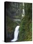 Multnomah Falls, Columbia Gorge National Scenic Area, Oregon, USA-Charles Gurche-Stretched Canvas