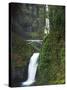 Multnomah Falls, Columbia Gorge National Scenic Area, Oregon, USA-Charles Gurche-Stretched Canvas