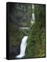 Multnomah Falls, Columbia Gorge National Scenic Area, Oregon, USA-Charles Gurche-Framed Stretched Canvas