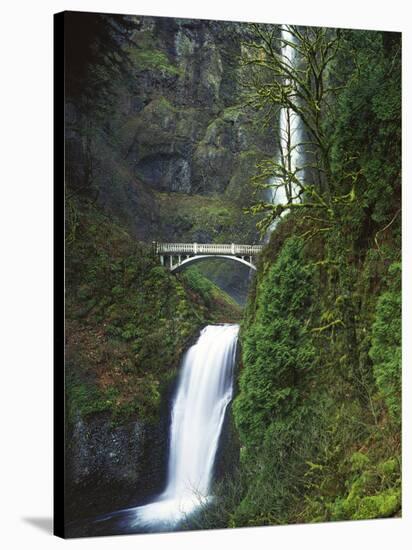 Multnomah Falls, Columbia Gorge National Scenic Area, Oregon, USA-Charles Gurche-Stretched Canvas