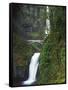 Multnomah Falls, Columbia Gorge National Scenic Area, Oregon, USA-Charles Gurche-Framed Stretched Canvas