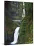 Multnomah Falls, Columbia Gorge National Scenic Area, Oregon, USA-Charles Gurche-Stretched Canvas