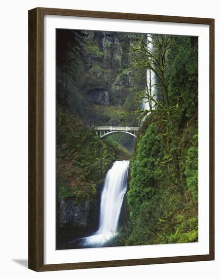 Multnomah Falls, Columbia Gorge National Scenic Area, Oregon, USA-Charles Gurche-Framed Premium Photographic Print