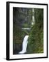 Multnomah Falls, Columbia Gorge National Scenic Area, Oregon, USA-Charles Gurche-Framed Premium Photographic Print