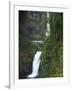 Multnomah Falls, Columbia Gorge National Scenic Area, Oregon, USA-Charles Gurche-Framed Photographic Print