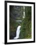 Multnomah Falls, Columbia Gorge National Scenic Area, Oregon, USA-Charles Gurche-Framed Photographic Print