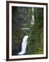 Multnomah Falls, Columbia Gorge National Scenic Area, Oregon, USA-Charles Gurche-Framed Photographic Print