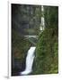 Multnomah Falls, Columbia Gorge National Scenic Area, Oregon, USA-Charles Gurche-Framed Photographic Print