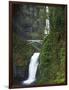 Multnomah Falls, Columbia Gorge National Scenic Area, Oregon, USA-Charles Gurche-Framed Photographic Print