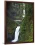 Multnomah Falls, Columbia Gorge National Scenic Area, Oregon, USA-Charles Gurche-Framed Photographic Print