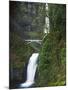 Multnomah Falls, Columbia Gorge National Scenic Area, Oregon, USA-Charles Gurche-Mounted Photographic Print