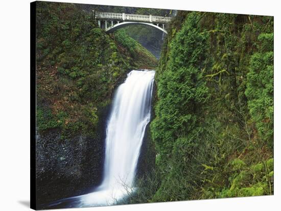 Multnomah Falls, Columbia Gorge National Scenic Area, Oregon, USA-Charles Gurche-Stretched Canvas